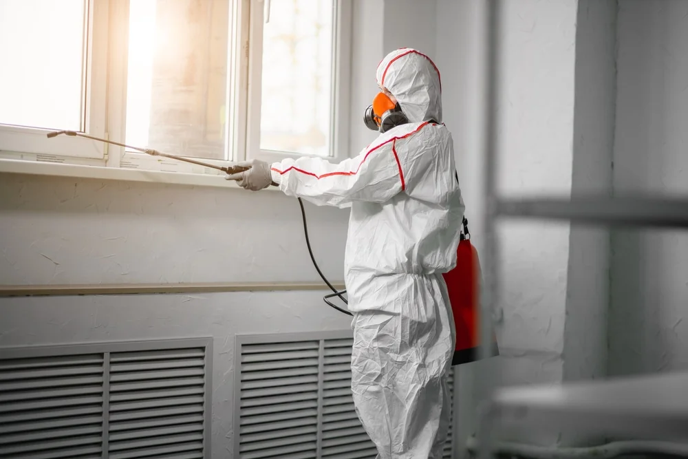 Professional mold remediation services in Elm Grove, WI
